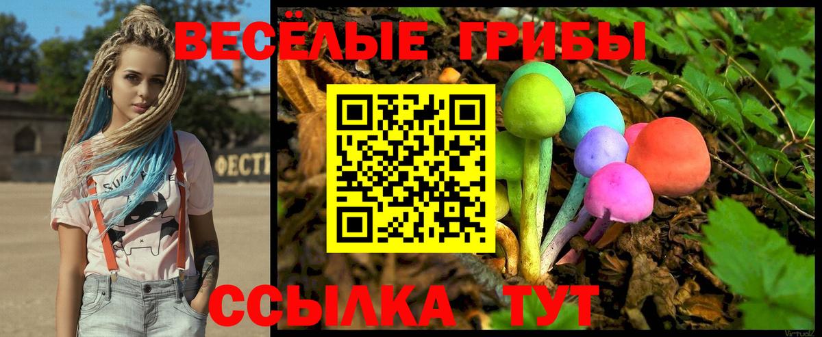 Псилоцибиновые грибы прущие грибы  как найти закладки  Большой Камень  Вход с VPN  Псилоцибиновые грибы Psilocybine cubensis 